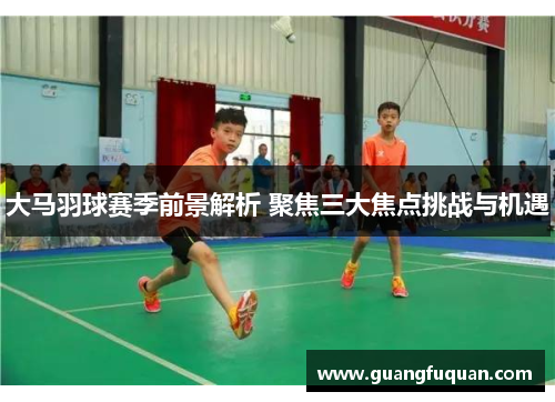 大马羽球赛季前景解析 聚焦三大焦点挑战与机遇